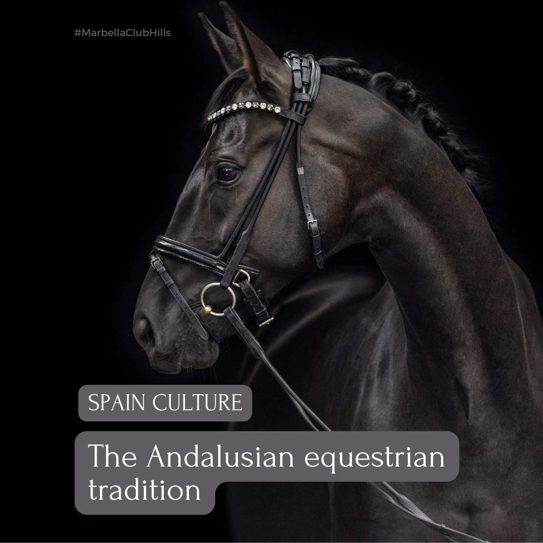 Spain Culture: The Andalusian equestrian tradition